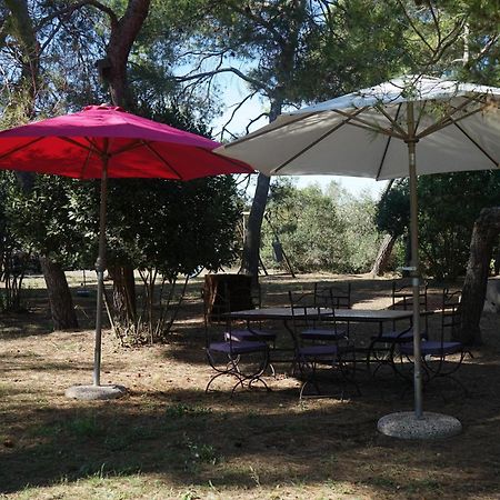 Joli Mas Au Bord De L'Etang De Thau Villa Marseillan Kültér fotó