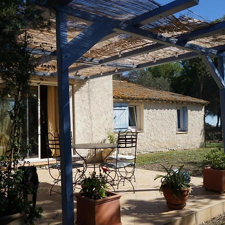 Joli Mas Au Bord De L'Etang De Thau Villa Marseillan Kültér fotó