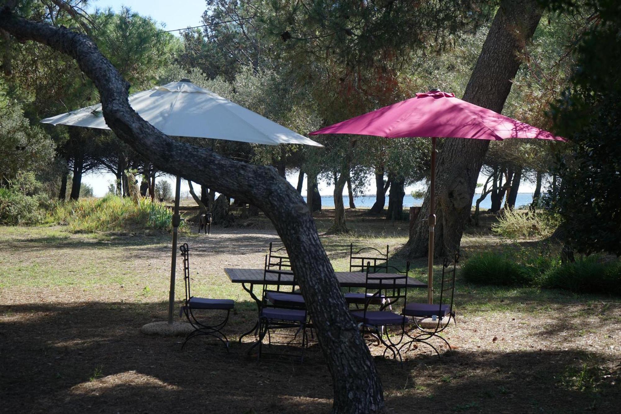 Joli Mas Au Bord De L'Etang De Thau Villa Marseillan Kültér fotó