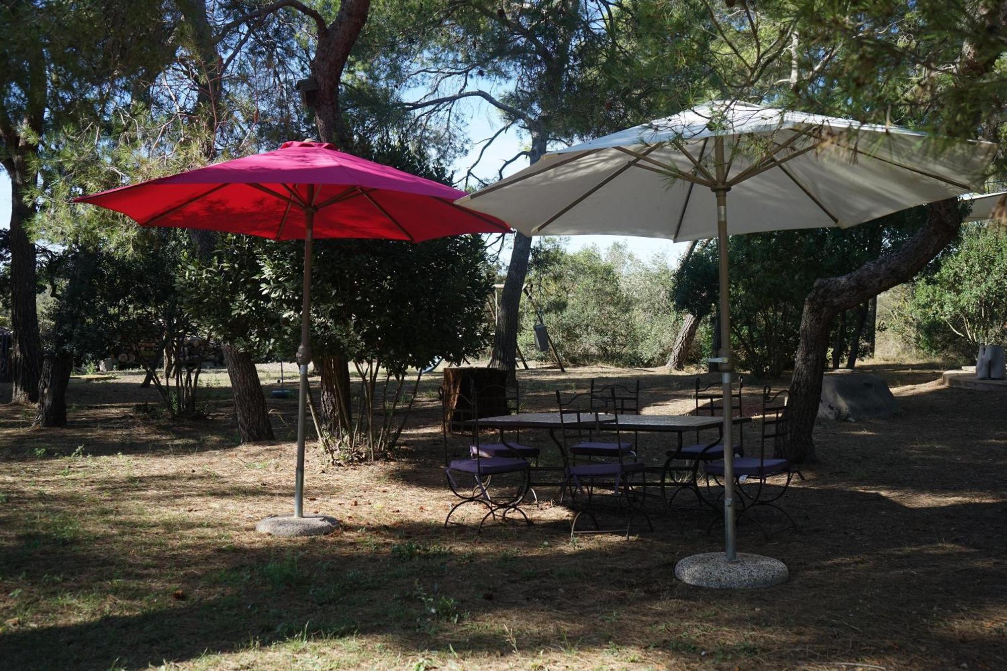 Joli Mas Au Bord De L'Etang De Thau Villa Marseillan Kültér fotó