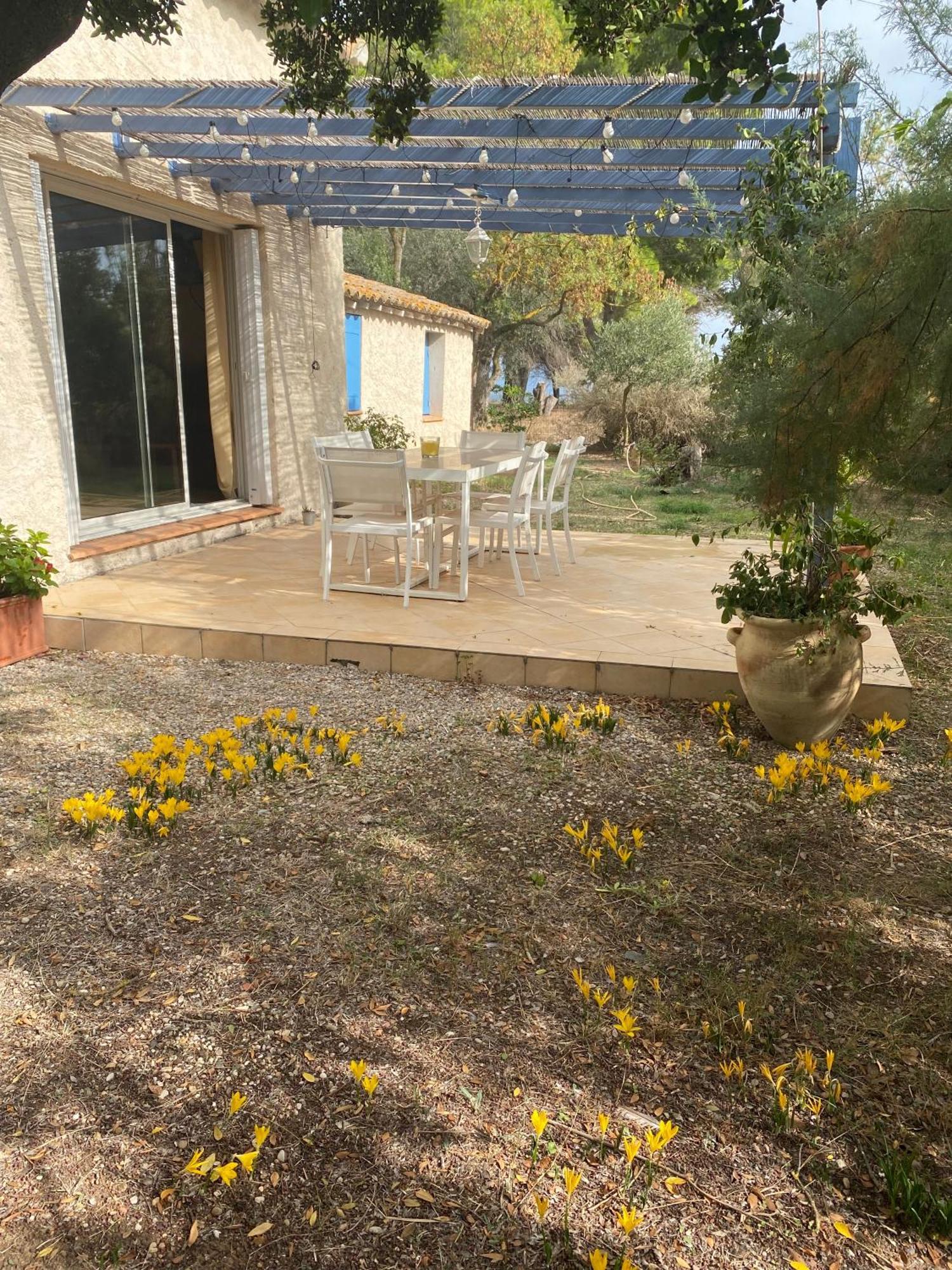 Joli Mas Au Bord De L'Etang De Thau Villa Marseillan Kültér fotó